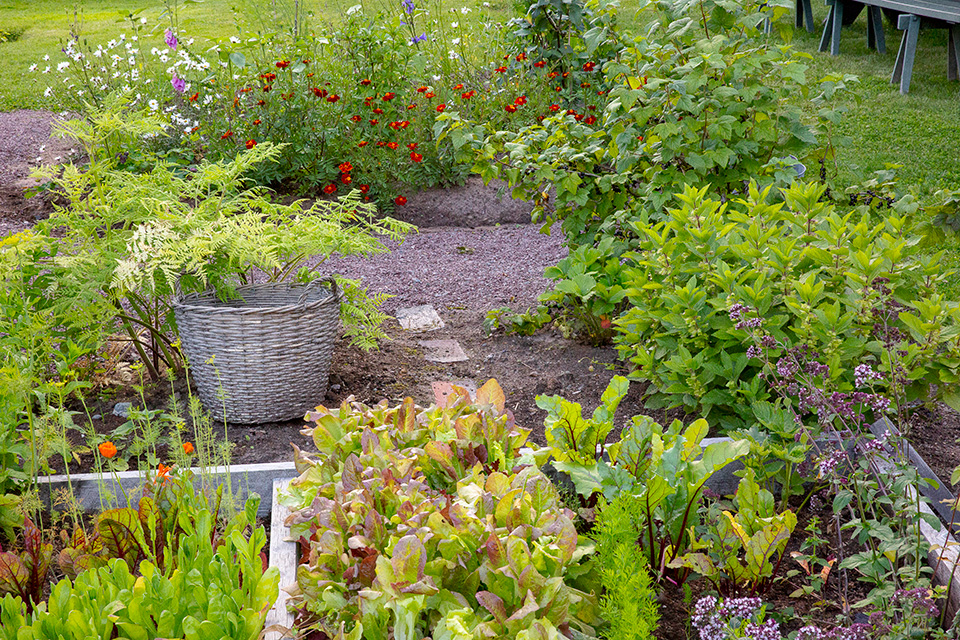 Carl-Larsson-garden-Lilla-Hyttnas-Sundborn-Tradgarden-Gronsaker-Orter